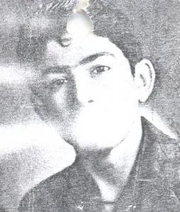 6527451.jpg