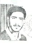 6530214.jpg
