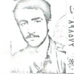 6531637.jpg