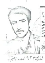 6531637.jpg