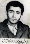 شهید محمدرضا لولاچیان - شهدای تهران 