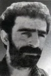 6535978.jpg