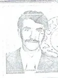 6541650.jpg