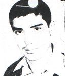 6541663.jpg
