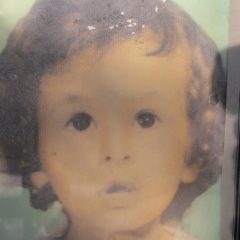 6604812.jpg