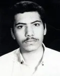 6609576.jpg