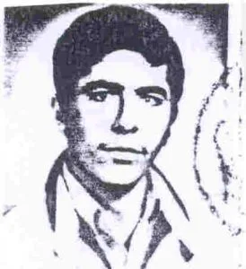 6611943.jpg