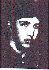 6613904.jpg