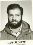 6616646.jpg