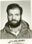 6616646.jpg