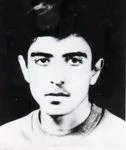 6619068.jpg