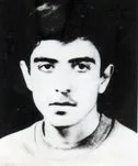 6619068.jpg
