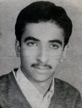 6619125.jpg