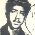6619307.jpg