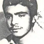 6619429.jpg