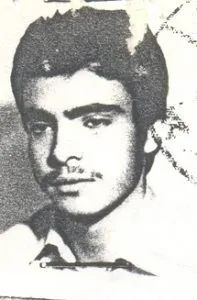 6619429.jpg
