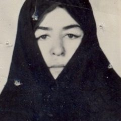 6619842.jpg