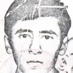6619906.jpg