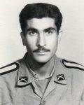 6704117.jpg