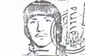 6707175.jpg
