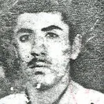 6715997.jpg