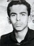 6719431.jpg