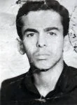 6719431.jpg