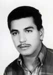 6800240.jpg