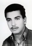 6800240.jpg