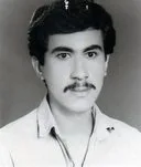 6800494.jpg