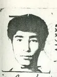 6801007.jpg