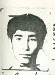 6801007.jpg