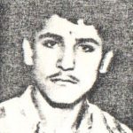6801399.jpg