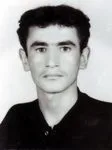 6801579.jpg