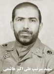 6801849.jpg