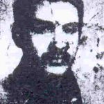 6900442.jpg