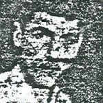 6901068.jpg