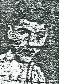 6901068.jpg