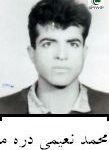 شهید محمد نعیمی دره مرادی
