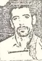 7500204.jpg