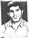 7500586.jpg