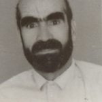 7800626.jpg