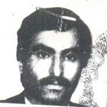 7800708.jpg