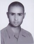 7900533.jpg