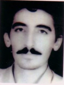 8000347.jpg