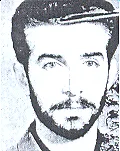 8300256.jpg