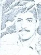 8300478.jpg