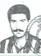8400310.jpg