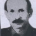 8400368.jpg