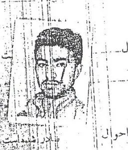 8500280.jpg